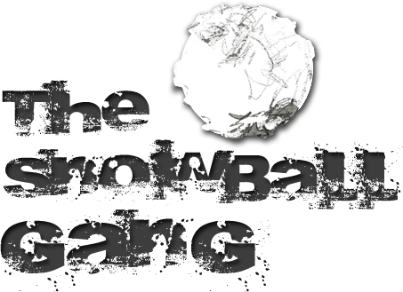 Get involved in the Big Pyramid Project!