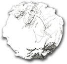 Spokes-Snowball...
