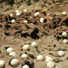 Land Art